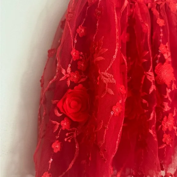 Popatu Baby Girl Red Floral Lace Tulle Dress Size 12M Special Occasion Holiday - Picture 3 of 5